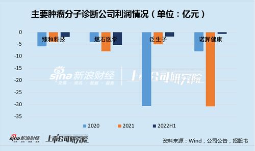 臻和科技IPO之路 三年虧損、同質(zhì)化競爭與高企銷售費(fèi)用下的生存挑戰(zhàn)